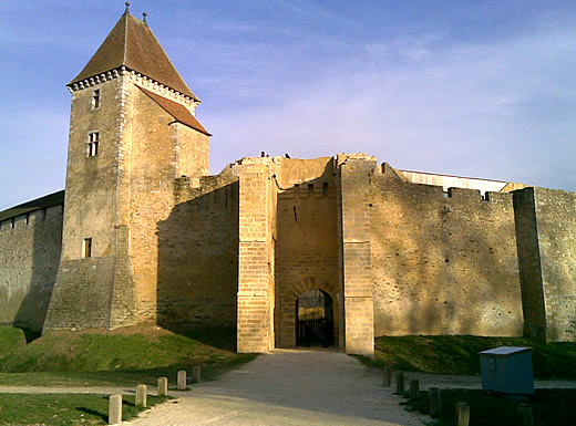 chateau fort de Blandy les Tours