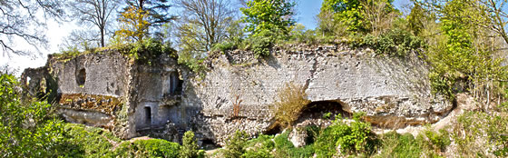 Vieux chateau de Guainville