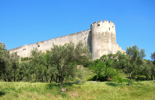 chateau de Villeneuve lès Avignon, fort Saint-André