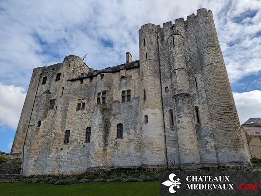 chateau donjojn de Niort
