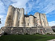 Chateau Niort